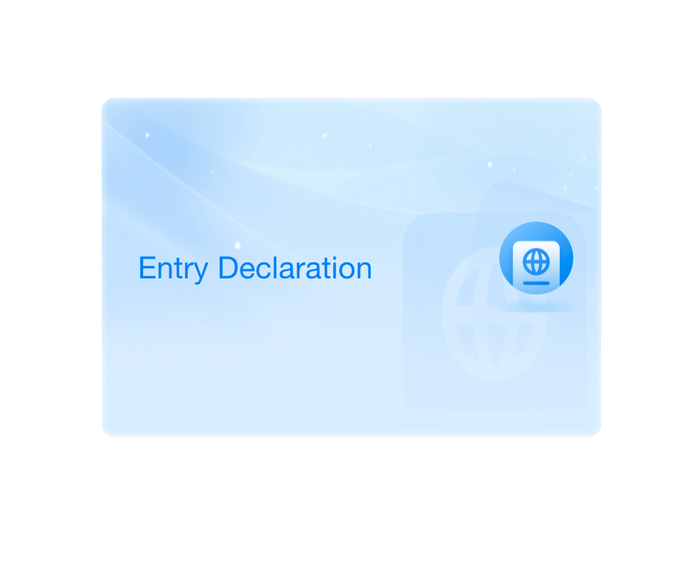 Выбор раздела Entry Declaration