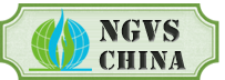 NGVS China 2020 - туроператор Транс-Шоу Тур