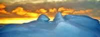Тур на Новый год - 2021: За полярным кругом Антарктиды