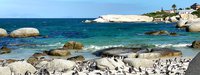 Тур в ЮАР: Кейптаун (4н) - Водопад Виктория (2н) - сафари-парк Чобе (2н) - деревня в Намибии