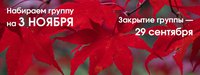 Период красных кленов в Корее