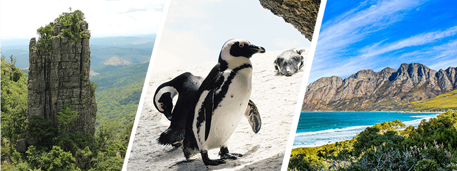 Запись вебинара по ЮАР для турагентов и объявление победителей