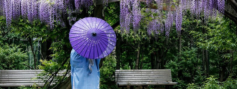 Тур по Японии «Волшебство глициний: от Токио до Киото». А/б входят в стоимость!