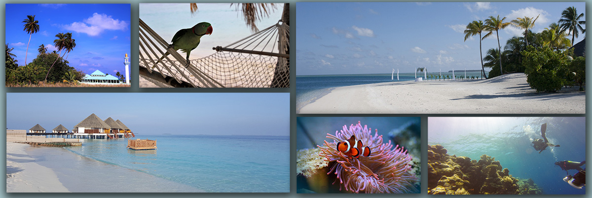 Тур на Мальдивы: Отдых на побережье в отелях 5* Deluxe