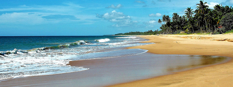 Пляжные туры на Шри-Ланку
