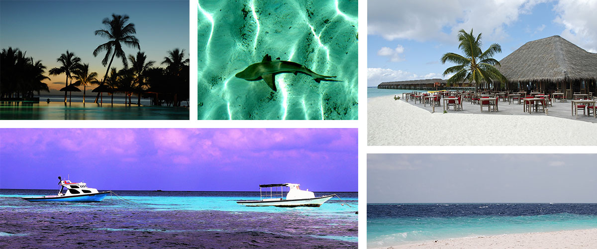 Тур на Мальдивы: Отдых в отелях эконом