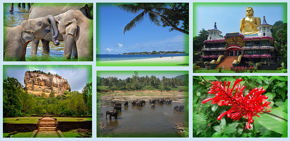 Комбинированный тур на Шри-Ланку Экзотический Цейлон